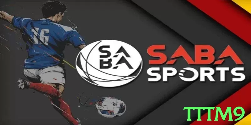 tttm9: Melhores Práticas e Estratégias Comprovadas - pk